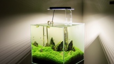 64L - Green Cube - Radosław Strzelec