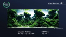 The International Aquatic Plants Layout Contest 2015