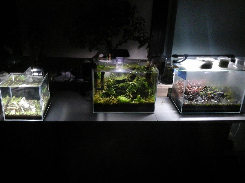 2015-06-12 00.32.16.jpg