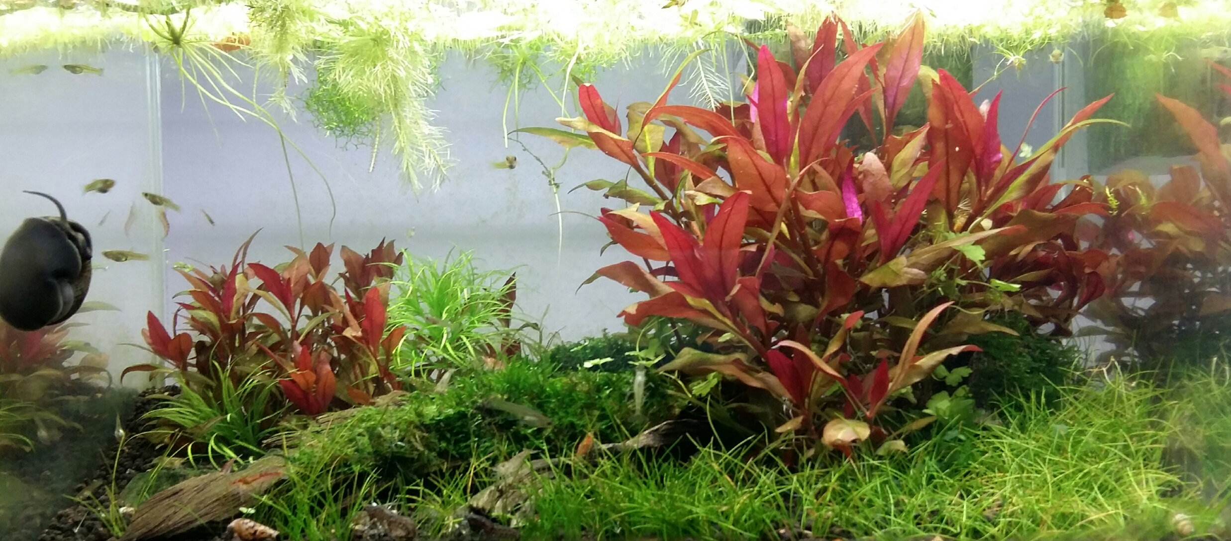 2015-07-21 00.48.17.jpg