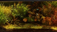 800l - Szymon Depta