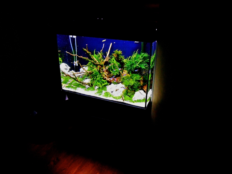 DSCN1610.JPG
