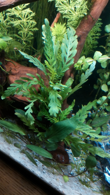 20150914_162405.jpg