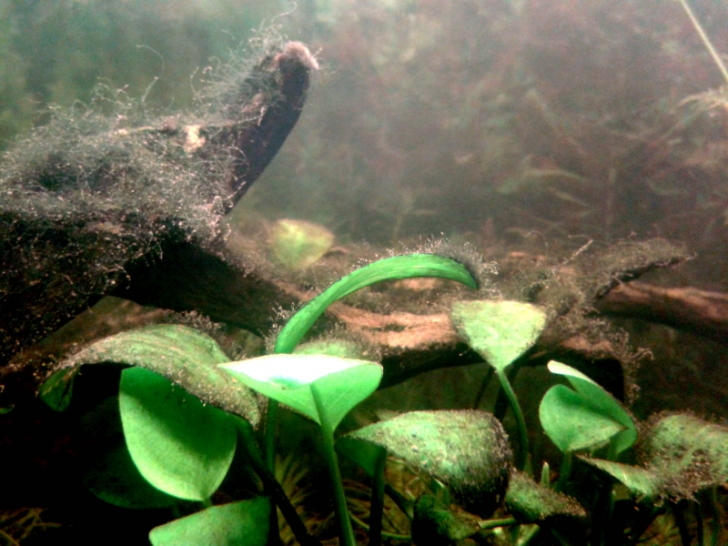 20150915_205521.jpg