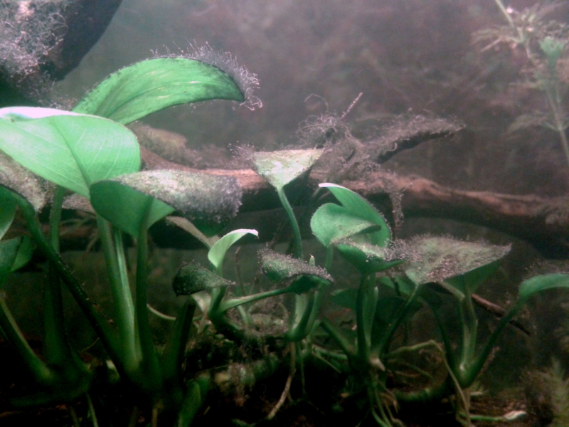 20150915_205356.jpg