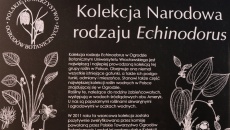 Zjazd KMRW 2015