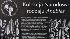 Zjazd KMRW 2015