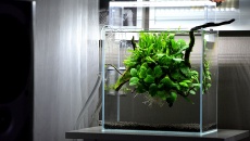 18l - Cube  "8" - Greg1978