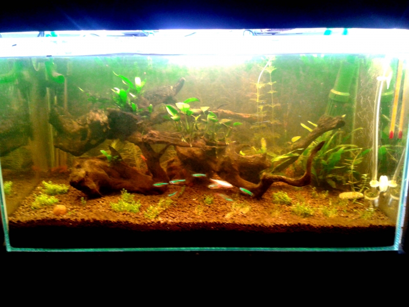 20150916_201722.jpg
