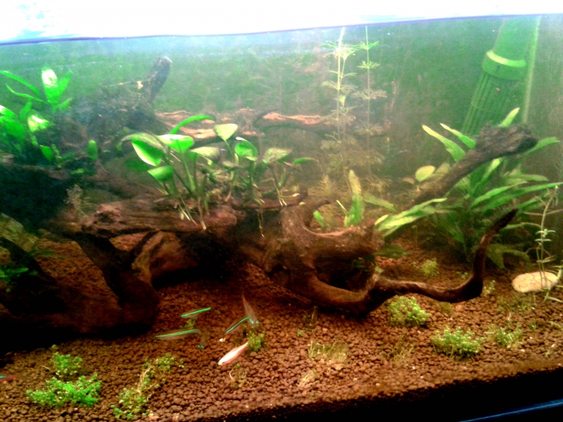 20150916_201624.jpg