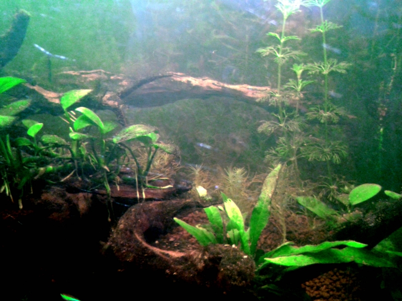 20150916_201555.jpg