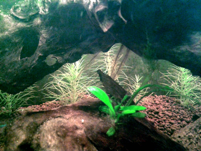 20150916_201540.jpg
