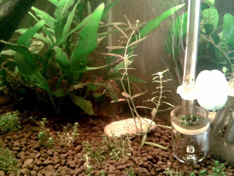 20150916_201515.jpg