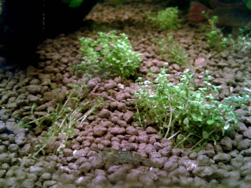 20150916_201427.jpg
