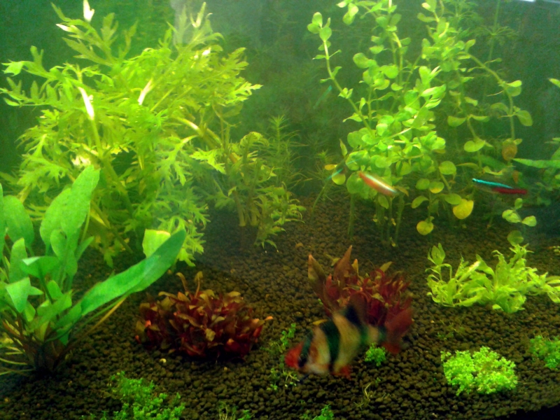 20150918_092342.jpg
