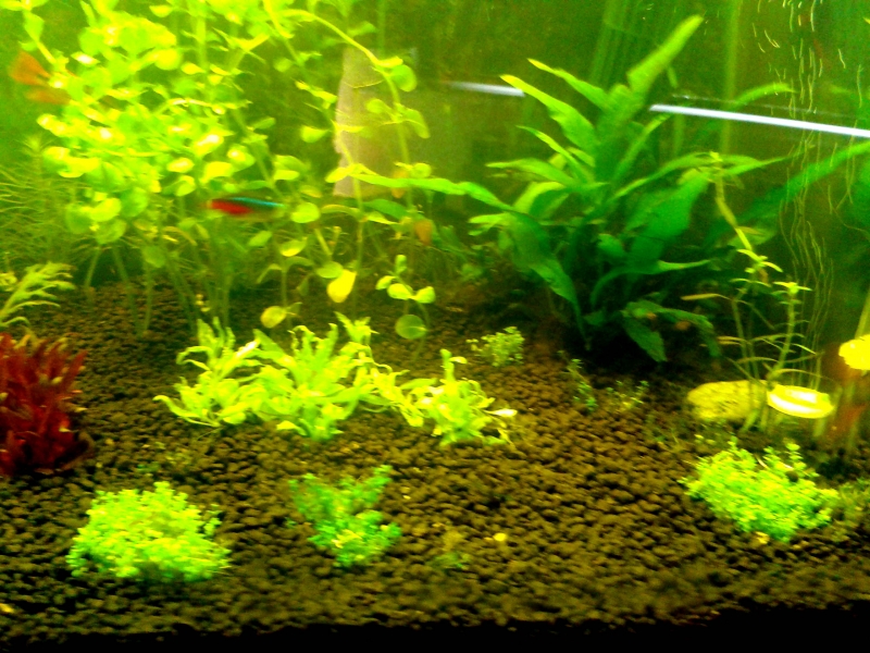 20150918_092318.jpg