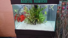 Rozdajemy wejściówki na Targi PET FAIR 2015 w Łodzi