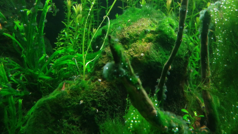 20150924_235154.jpg