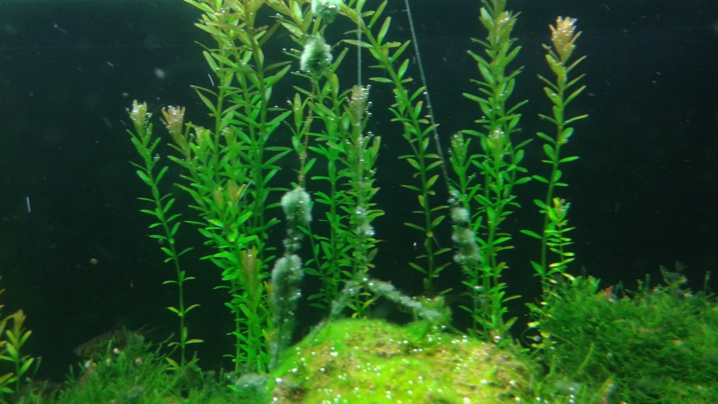 20150924_235138.jpg