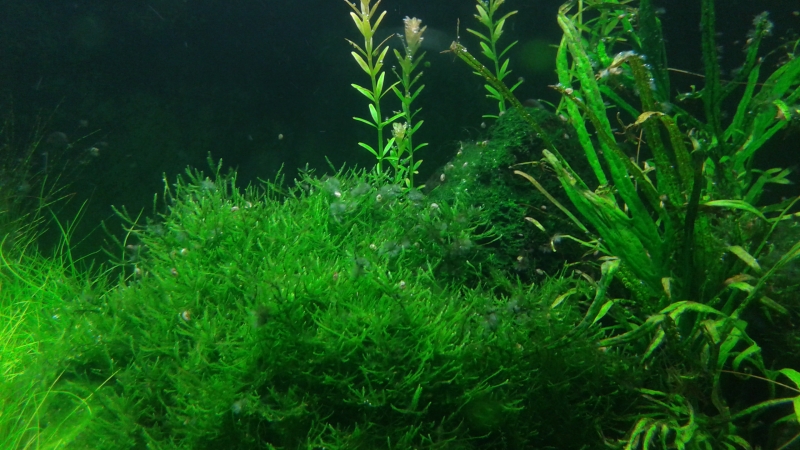 20150924_235215.jpg