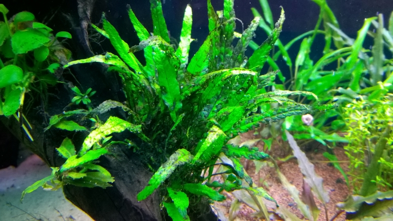 WP_20150925_001.jpg