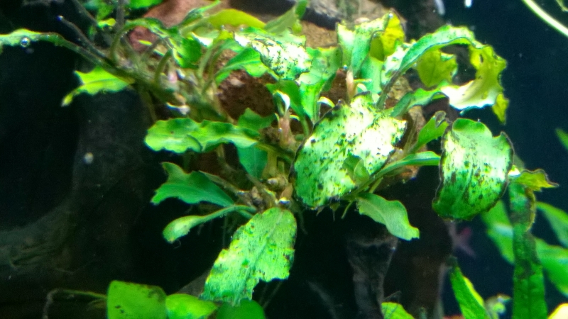 WP_20150925_002.jpg