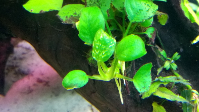 WP_20150925_003.jpg
