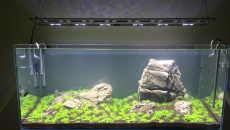 Przewalkowane oświetlenie 120x50x50