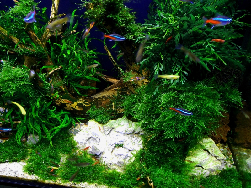 DSCN1649.JPG