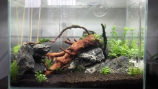 30L - Nano by xXKrystianXx