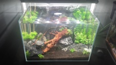 30L - Nano by xXKrystianXx