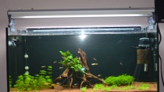 Akwarium 200l. Pomocy!