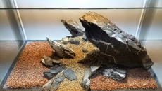 300l - ATP - Stone claws of the Nature - Andrzej Nowak