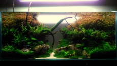 300l - Naturka OW - Jelcyn