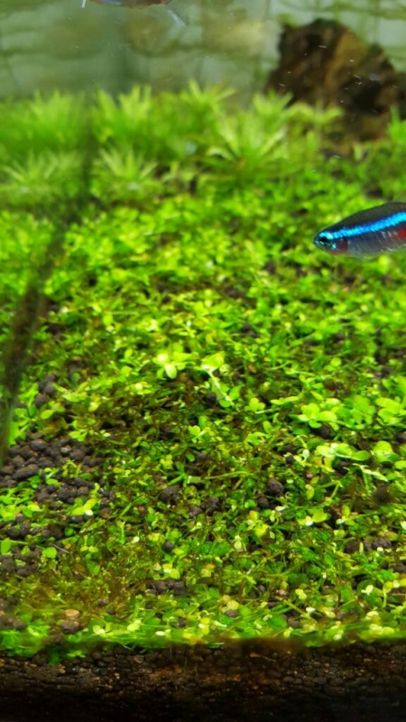 d053e0fe8779818ac7ab13423c595bfd.jpg