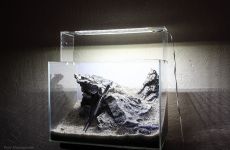 21l - Piotrek Mierzejewski