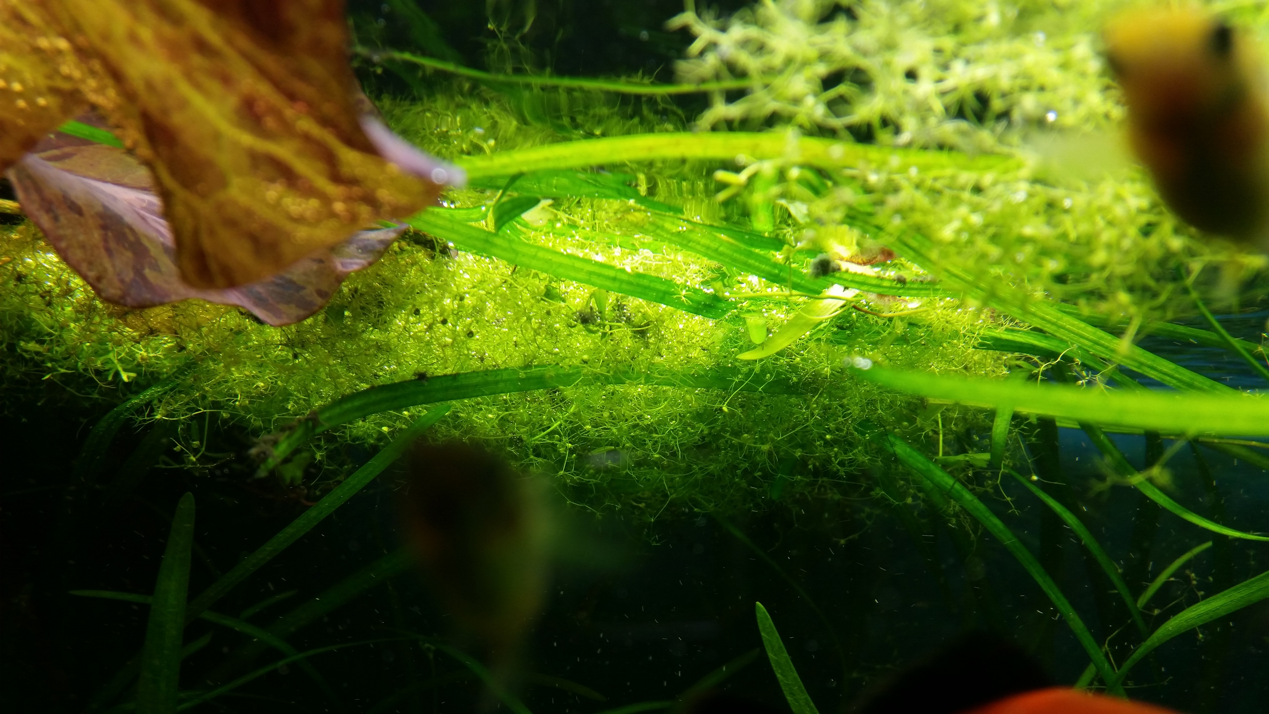 20151020_220025.jpg