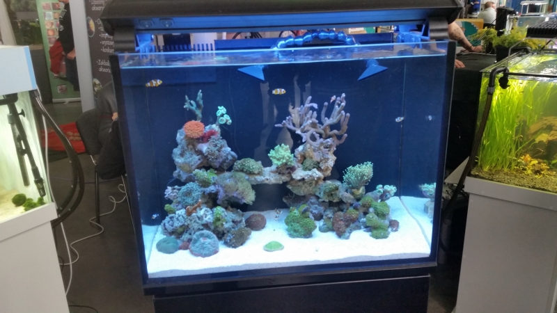 20151017_133613.jpg