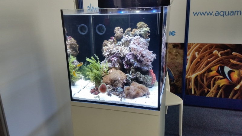 20151017_133120.jpg