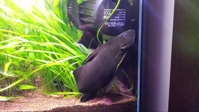 20150414_223001.jpg