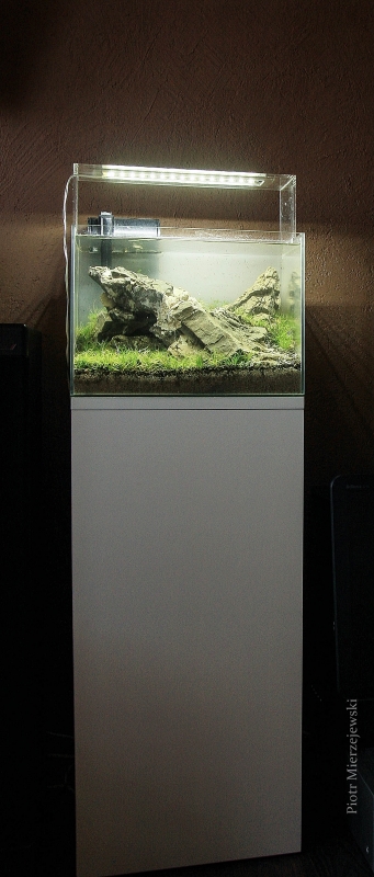21L.jpg