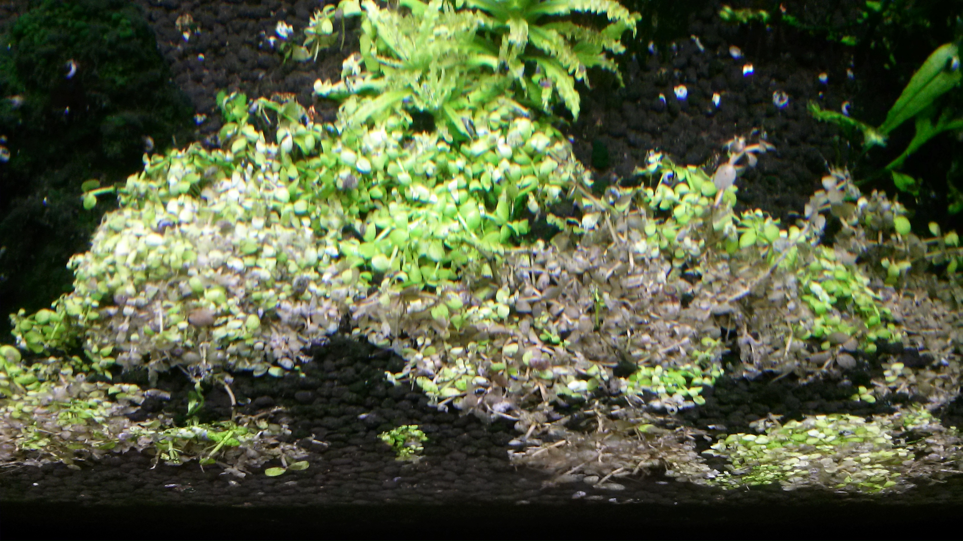 20151031_172749.jpg