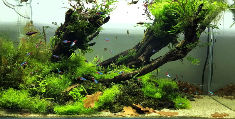 2015-10-27 21.15.06.jpg