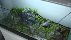 65l - Cast Away - nemo32