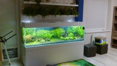 600l - Nowy projekt - 3promile