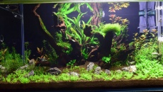182l - Piece of nature - Jakub