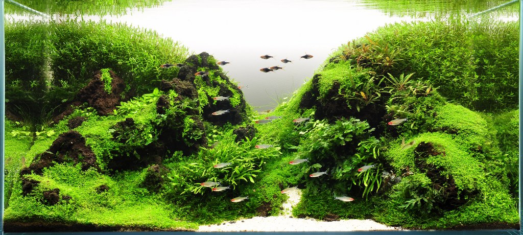 crying stones 2015 final_1024x460.jpg