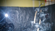 Paludarium 300L