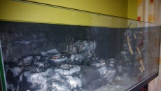 Paludarium 300L