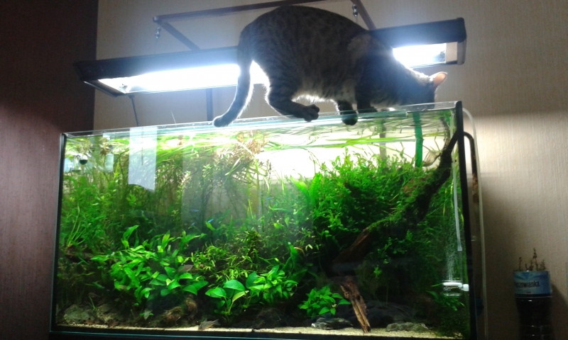 20151012_085621.jpg